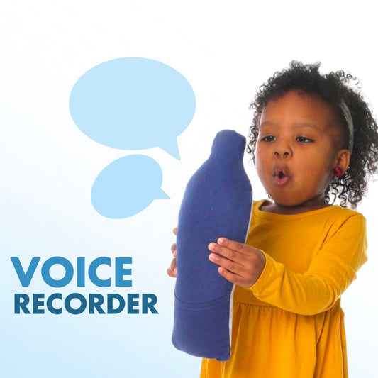 Voice Recorder